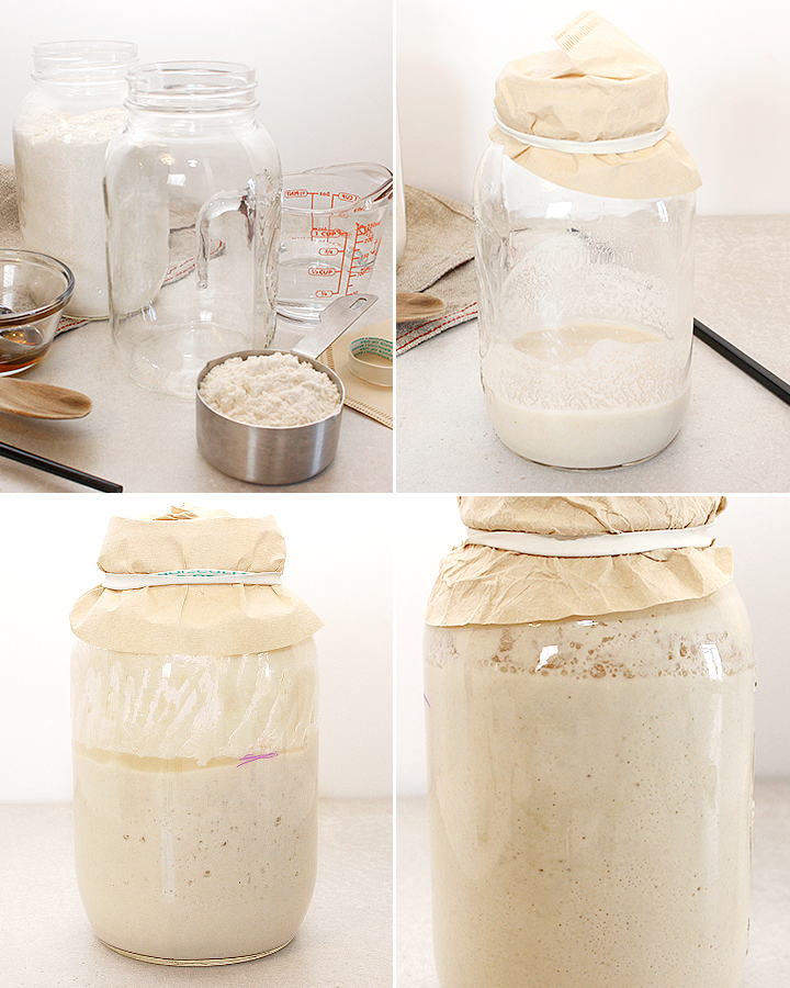 https://www.freshisreal.com/wp-content/uploads/2018/03/Fresh_is_Real_Gluten-Free_Sourdough_Starter_post_2-1.jpg