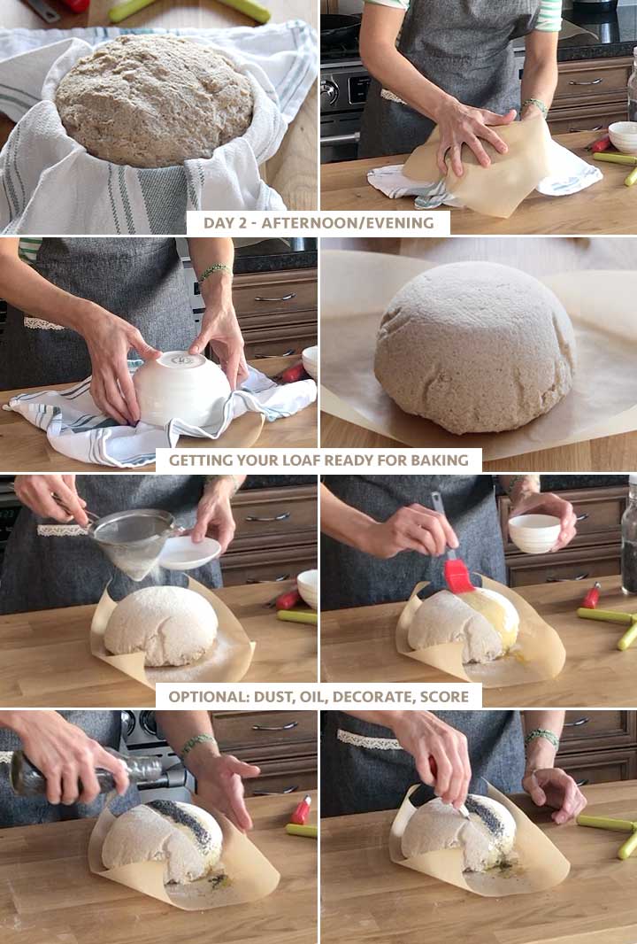 Process photos: 5 to 12 - Preparing the gluten-free sourdough for baking