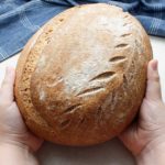 Little hands holding a stunning wild yeast bread loaf boule