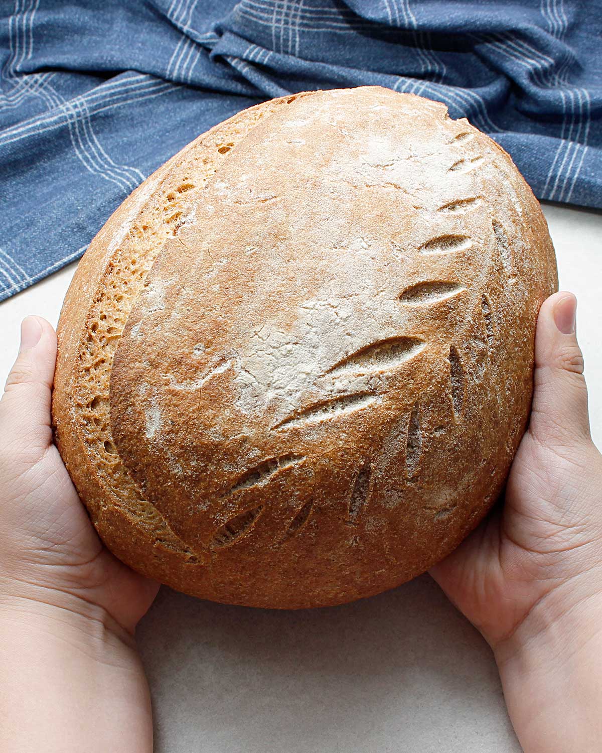 Little hands holding a stunning wild yeast bread loaf boule