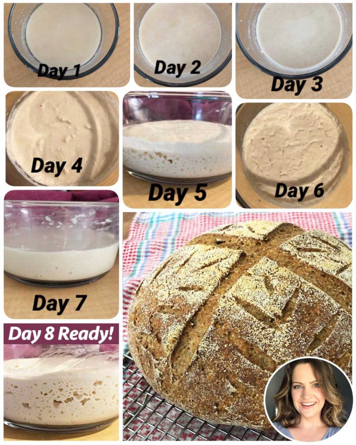 GF sourdough starter process Days 1 to 8 with picture of baked gluten-free sourdough loaf