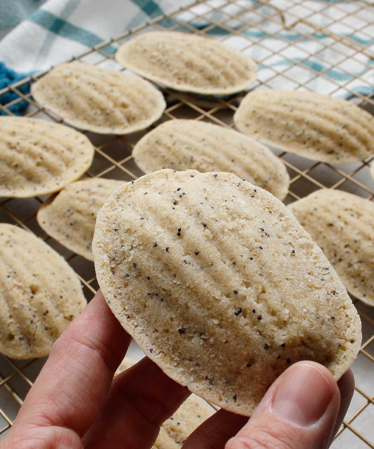Easy GF Vegan Lemon Madeleines - Fresh is Real