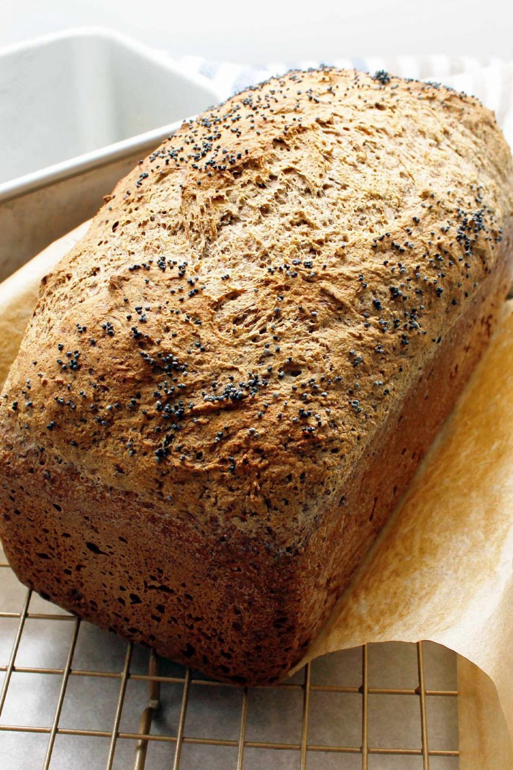Buckwheat Hemp Bread (GF/V) Yeasted Recipe by Fresh is Real