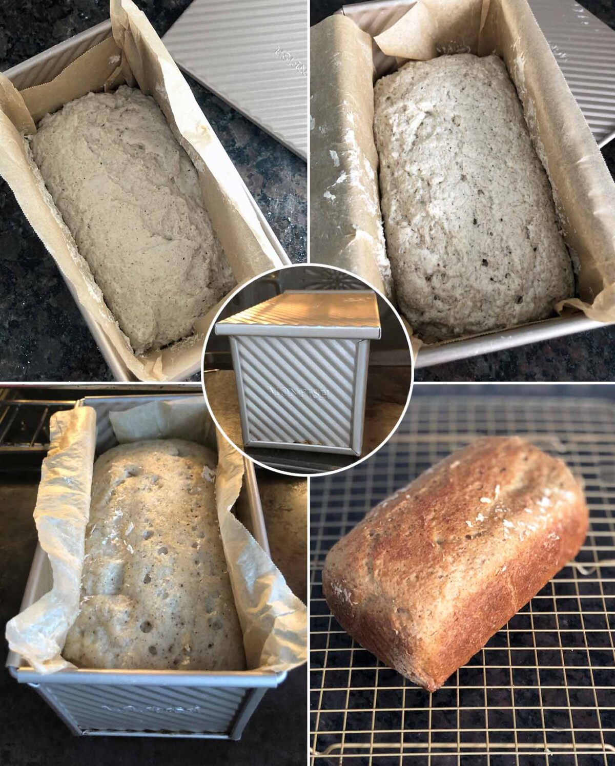 Gluten-free sourdough rising in bread pan instead of banneton basket.